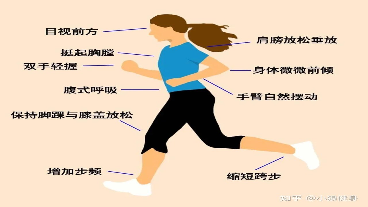 畅跑健康 科学跑步技巧 轻松瘦出好身材 综合图解