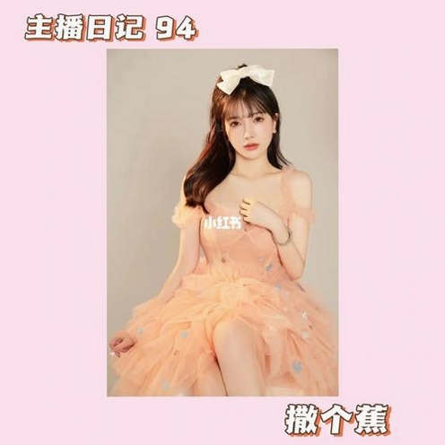 小主播日记运行截图