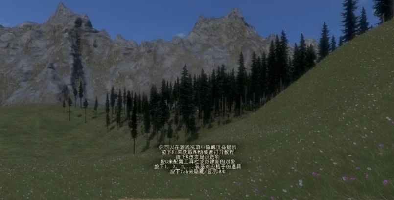 中世纪工程师 pc版运行截图