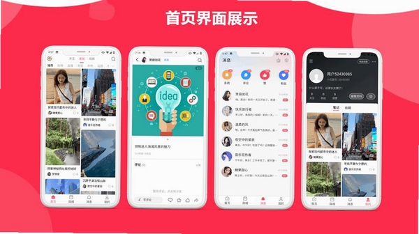 红人蜂运行截图