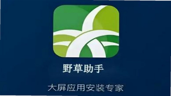 野草助手官方下载
