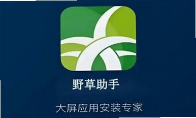 野草助手运行截图