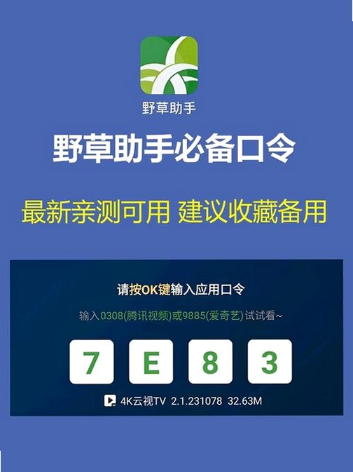 野草助手运行截图