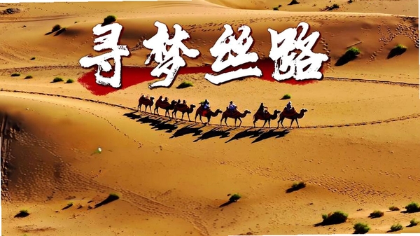 寻梦丝路运行截图