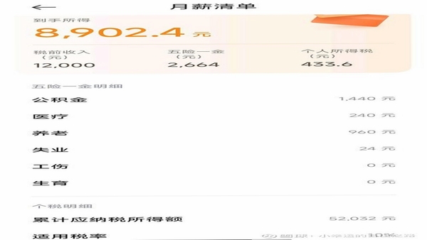 电子税务社保计算 工资条明细截图