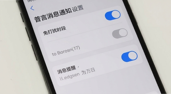 普言消息通知设置界面,手机屏幕展示免打扰时段设置与消息提醒开关选项,界面为浅灰色背景,开关按钮为蓝色高亮状态,整体布局清晰,突出社交软件的通知管理功能