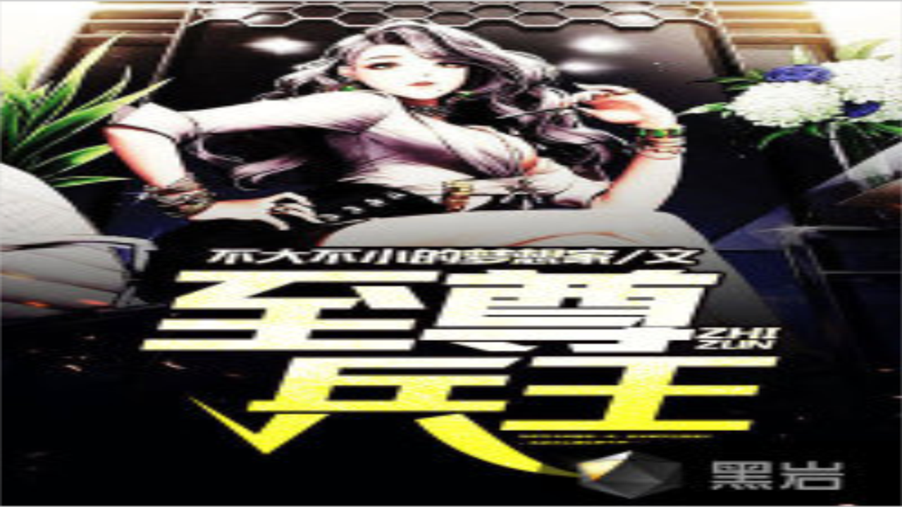 至尊兵王 小说封面 设计 精美 图片