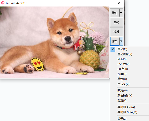 GifCam 7.7中文最新版运行截图