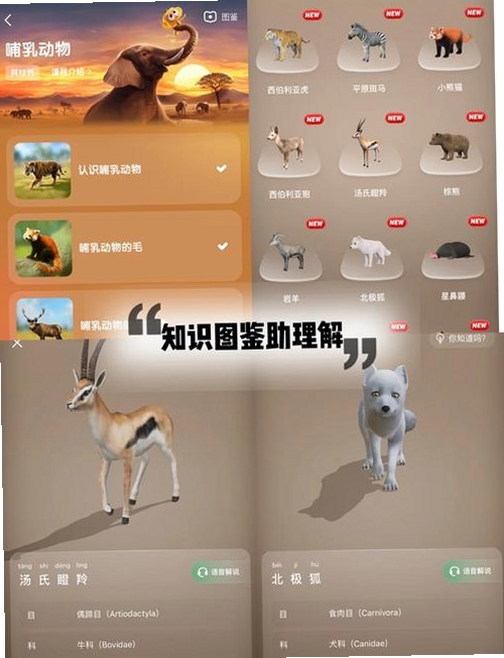 动植物百科运行截图