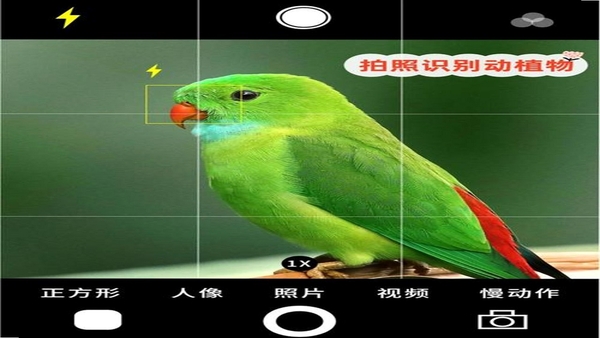 动植物百科拍照识别界面截图