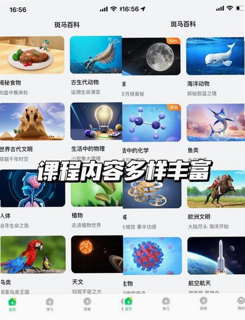 动植物百科运行截图