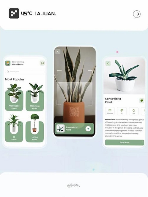 动植物百科运行截图