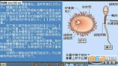 小惠性知识大百科 pc版运行截图