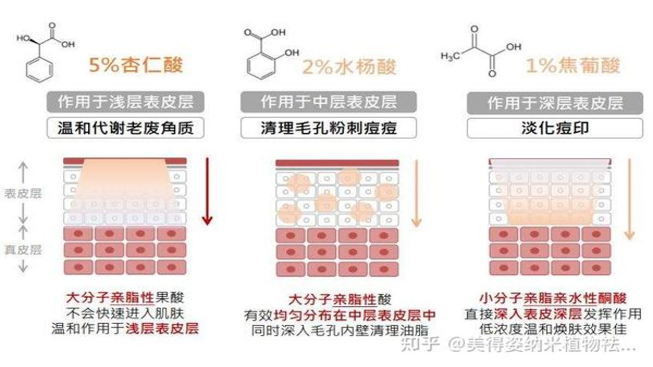 成分喵 刷酸 A醇 护肤顺序 温和配方
