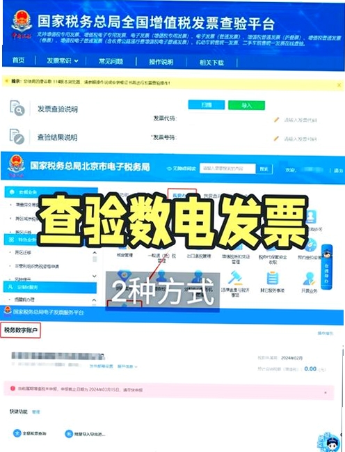 查验电子发票运行截图