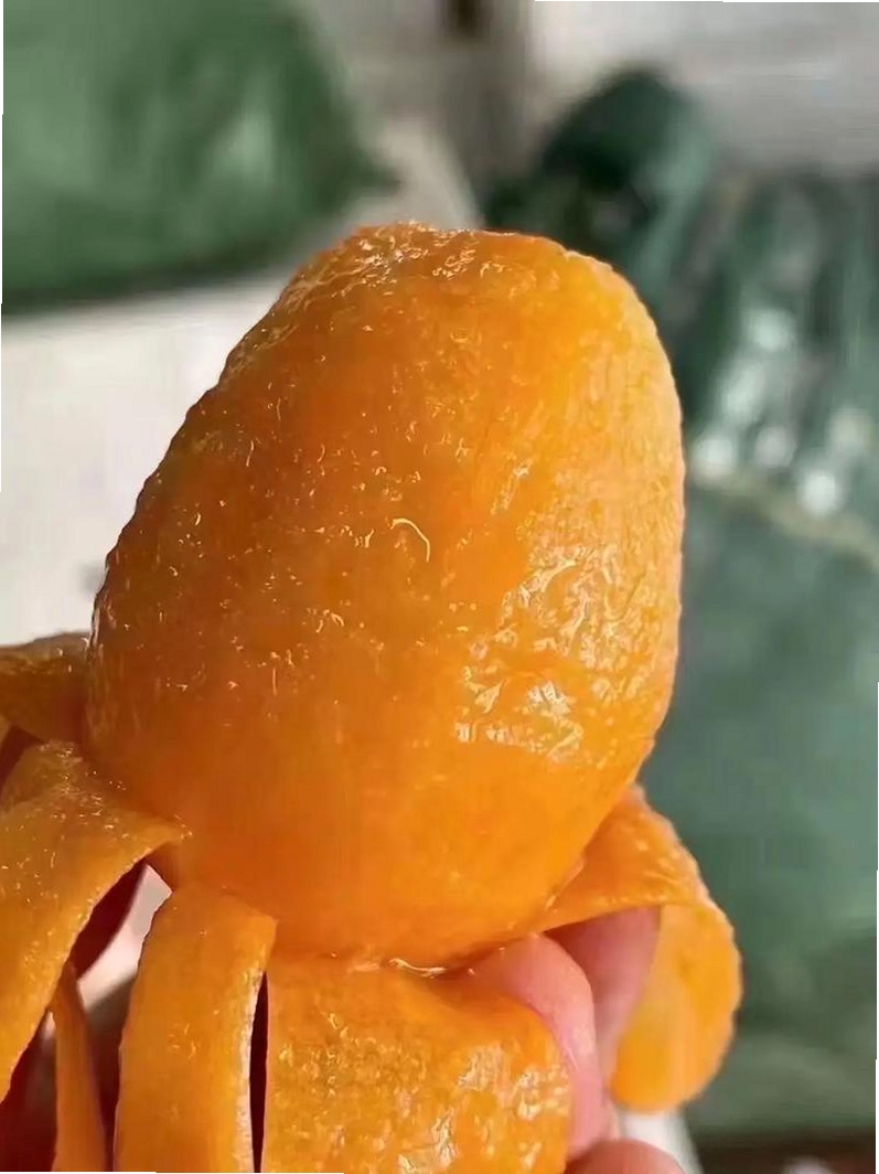 多宝果园运行截图