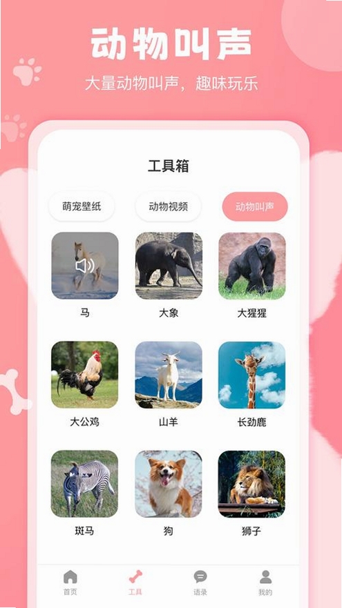 宠语实时翻译器运行截图
