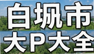 �׳���app��ȫ - �������ѯ���°콻��12123֧��������