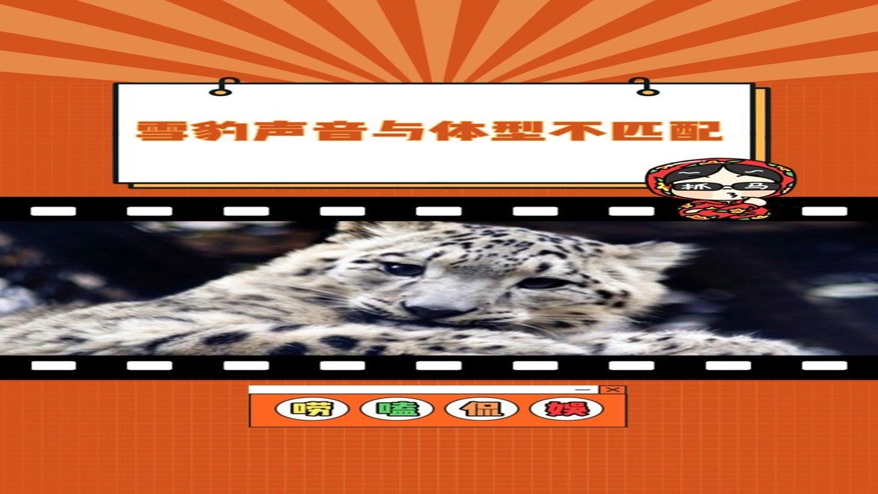 �ҿ������¸���ȫ�����߲��ŵ�ַ����