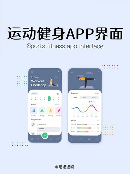 Da Fit运行截图