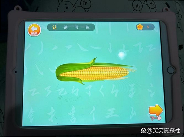 宝宝儿童学汉字运行截图