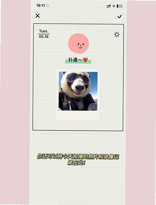 EMMO运行截图