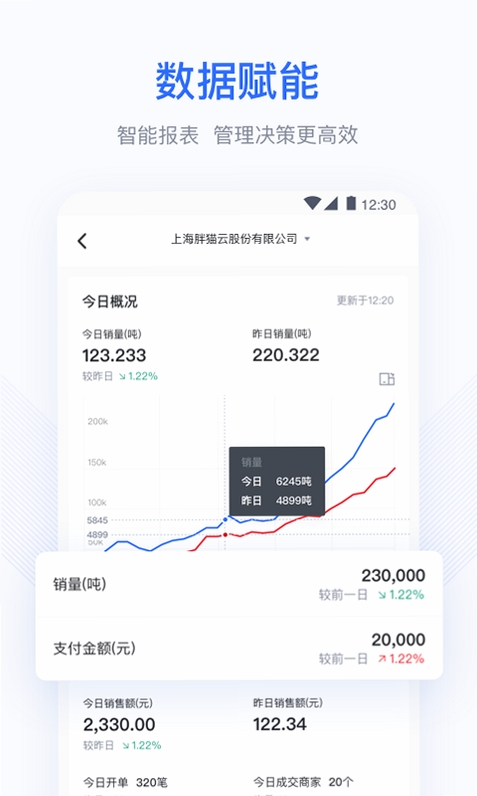 胖猫云运行截图