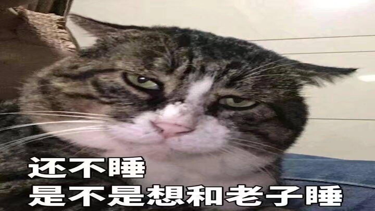 ����С���ű�������罻�����е��������û�����