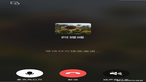 回应App语音聊天界面截图