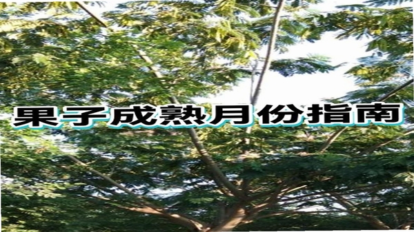 ��������-ҵ��Ա�� ������־�汾��¼