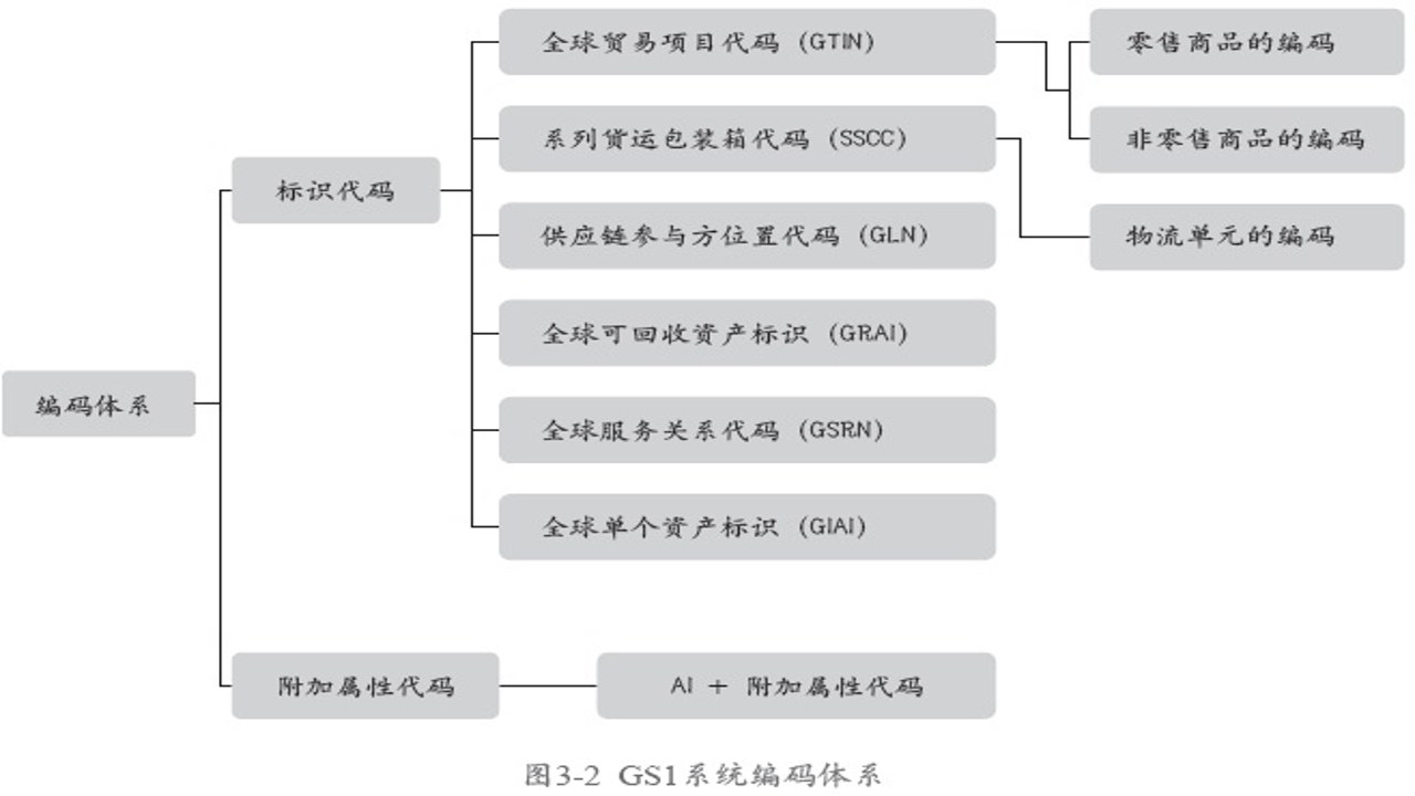 中国编码体系详解及常见应用