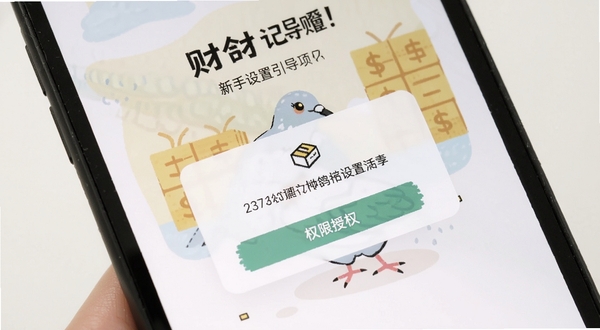 财鸽记账 新手设置引导页 权限授权弹窗 手机屏幕特写 简洁插画风格