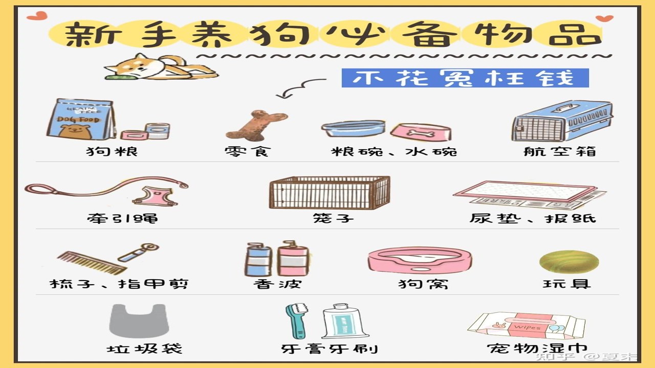小狗要来了新手铲屎官必备物品清单及接狗前准备场景图