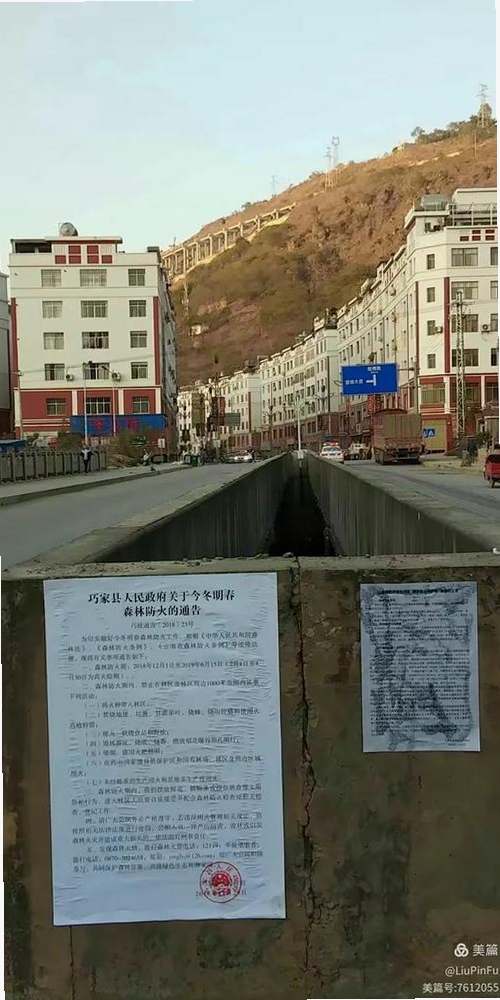 地林林运行截图