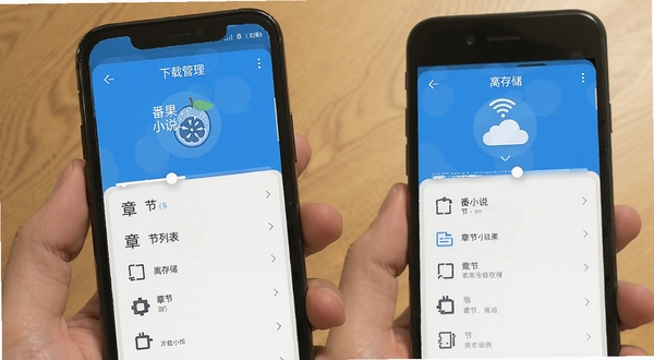 番果小说免费听 离线缓存界面 下载管理 章节列表 手机存储 进度条 WiFi图标 蓝色主题 扁平化设计