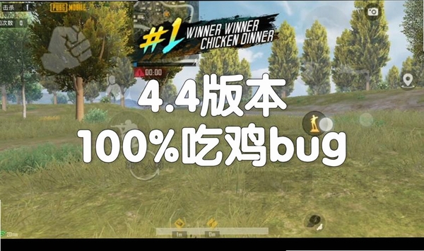PUBGM FLASH安装器运行截图