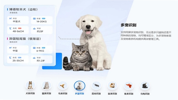 宠行宝 多宠管理界面