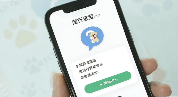 宠行宝 问答界面 手机屏幕显示帮助中心 背景简洁 有问号与宠物图标 扁平化设计