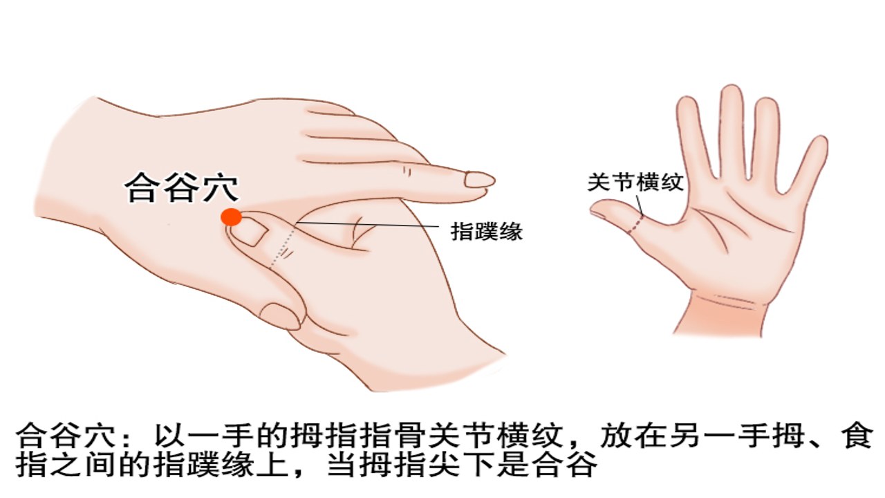 经络养生手脚穴位图解 合谷穴涌泉穴位置