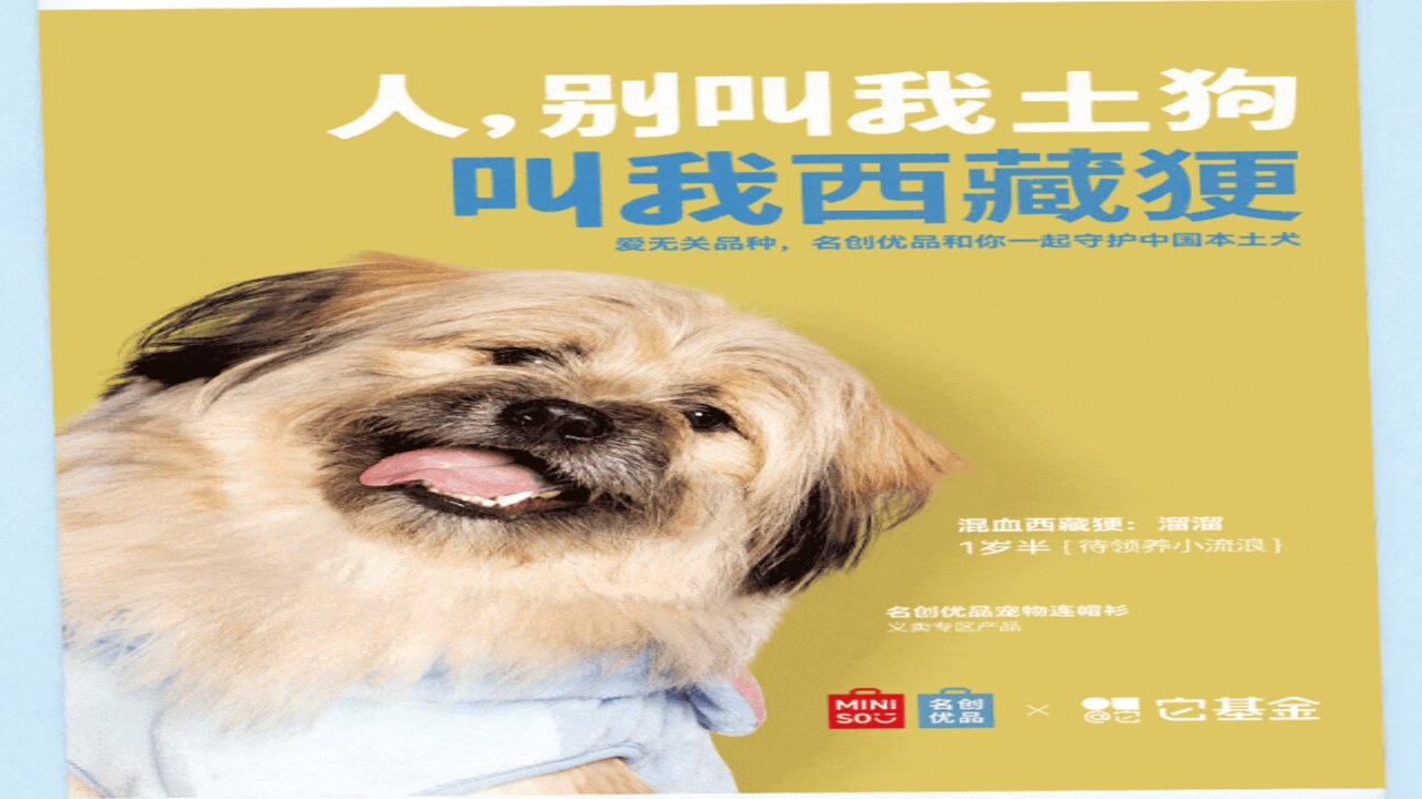 文案狗 情绪营销 心理分析 互动 场景