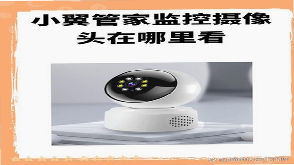 小睿看家使用评价