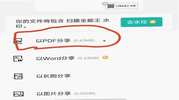 顺捷扫描王导出PDF设置界面