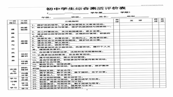 综合素质评价 学生 自评互评 界面