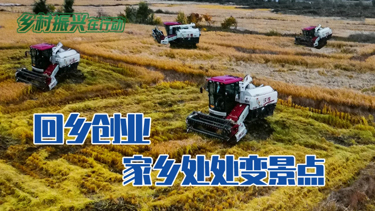 返乡当首富 农村创业逆袭故事