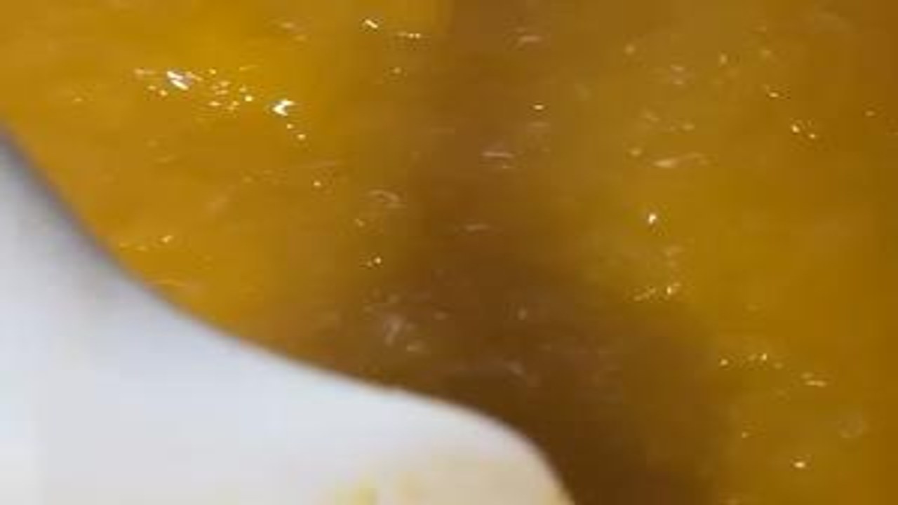 �Ұ������� ������������״̬�Ա�
