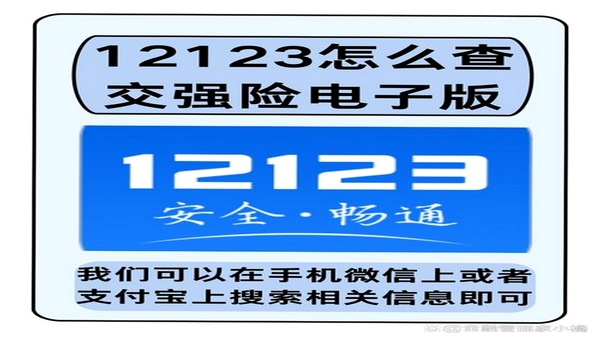 123车主保险查 用户问答