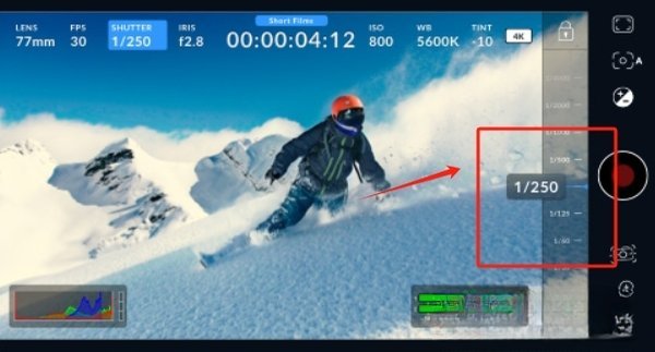 lut调色包免费下载完整版(blackmagiccamera)运行截图