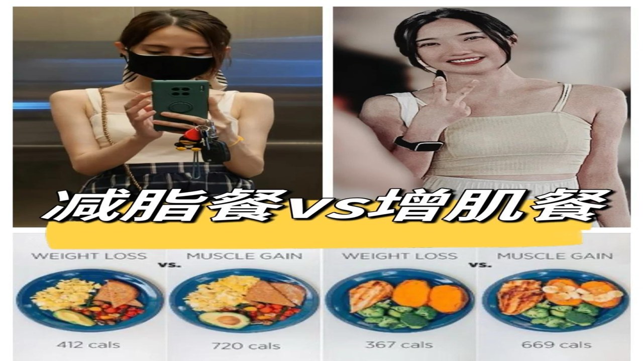 锐健营科学增肌减脂实战指南全貌图解